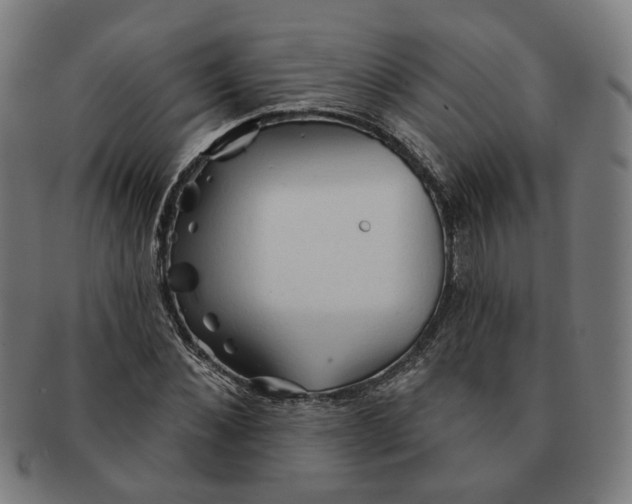 X0000090980876200708301246