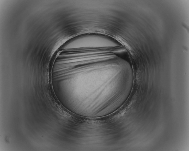 X0000090980877200708301246