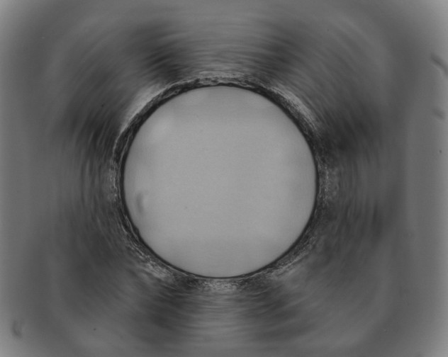 X0000090980878200708301246