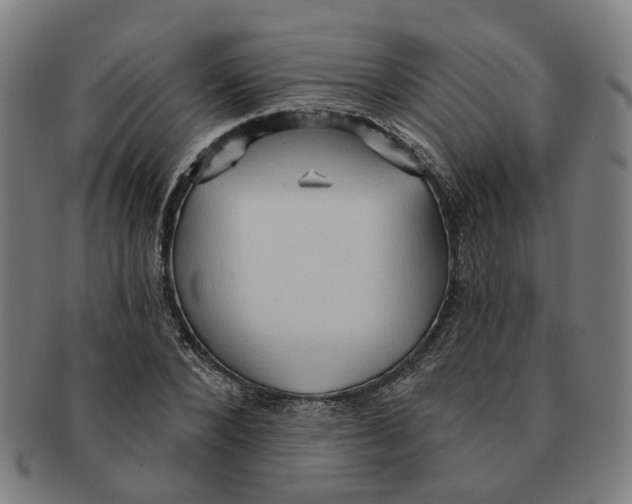 X0000090980880200708301246