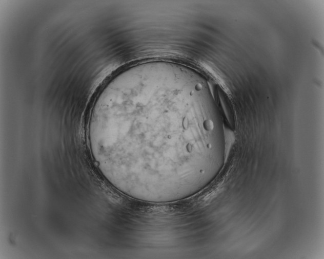 X0000090980883200708301246