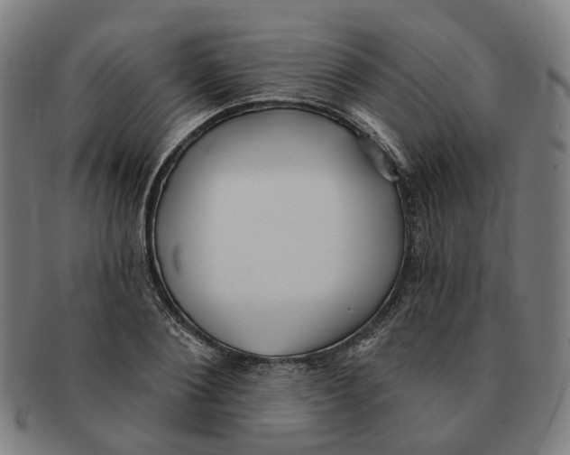 X0000090980884200708301246