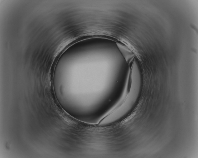 X0000090980885200708301246