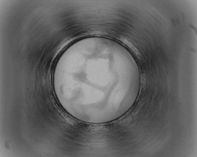 X0000090980886200708301246