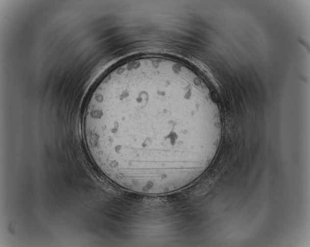 X0000090980887200708301246