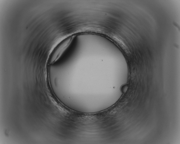 X0000090980888200708301246