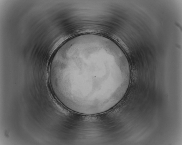 X0000090980890200708301246