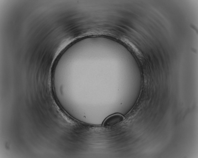 X0000090980894200708301246