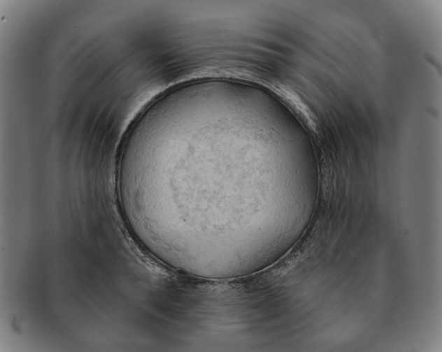 X0000090980896200708301246