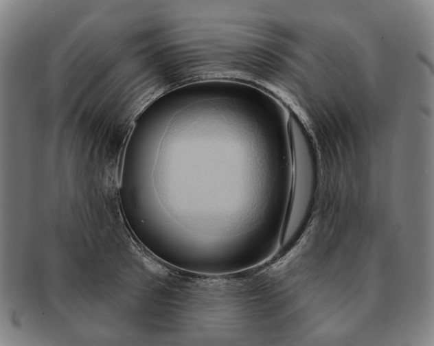 X0000090980897200708301246