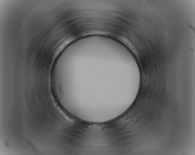 X0000090980898200708301246