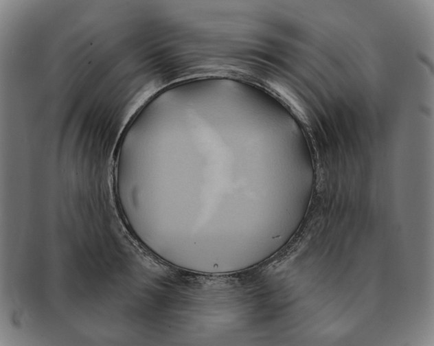 X0000090980899200708301246