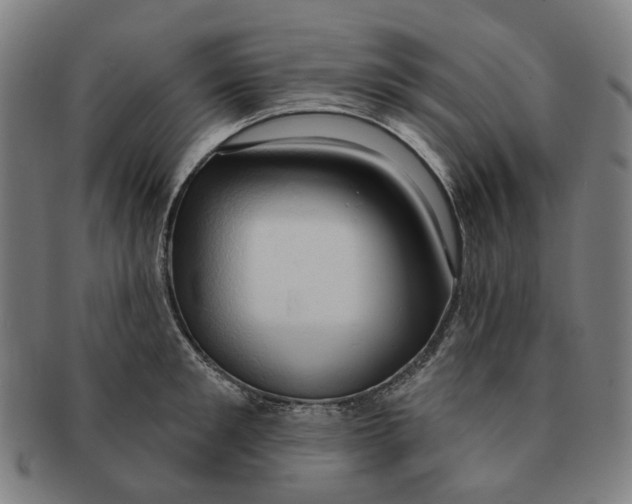X0000090980901200708301246