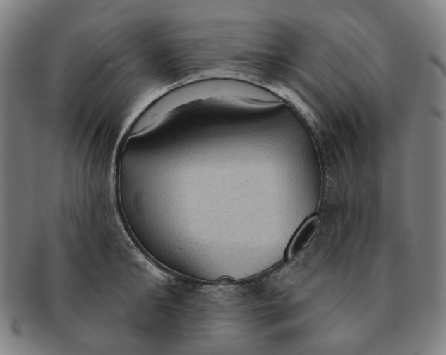X0000090980902200708301246