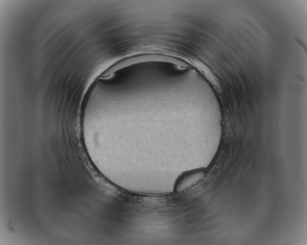 X0000090980904200708301246