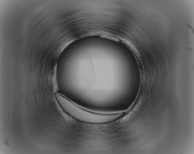 X0000090980905200708301246