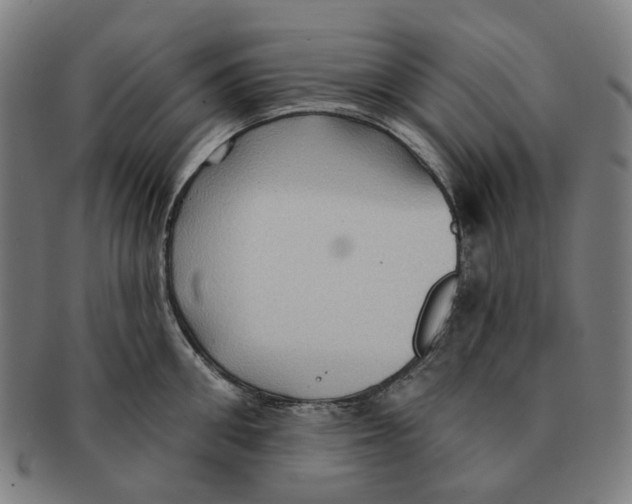 X0000090980906200708301246