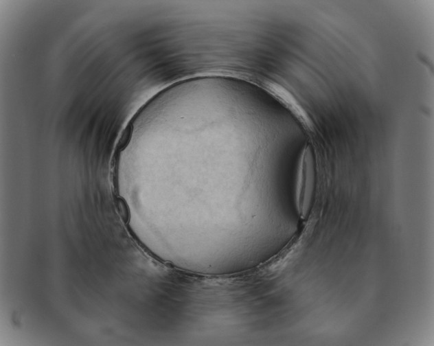 X0000090980908200708301246
