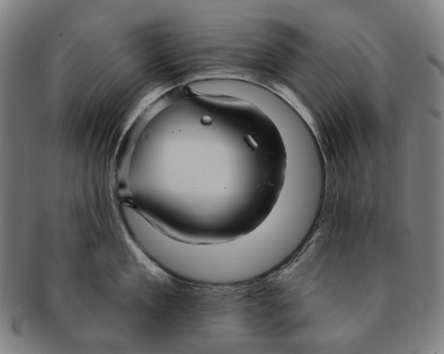 X0000090980909200708301246