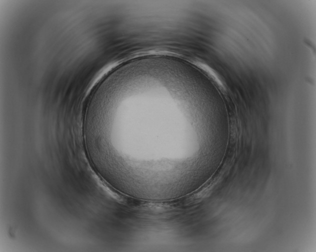 X0000090980910200708301246