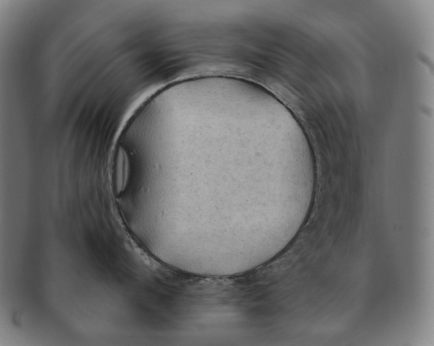 X0000090980912200708301246