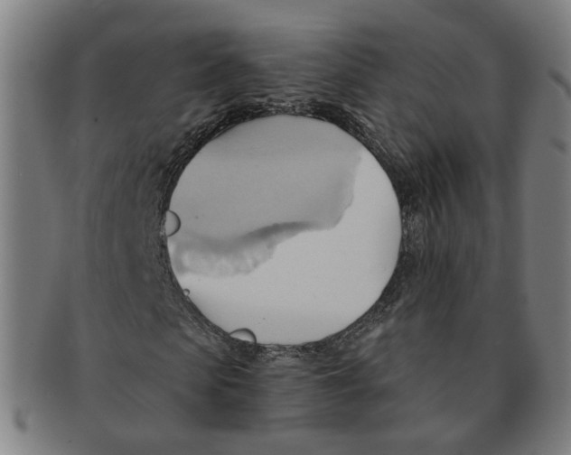 X0000090980913200708301245