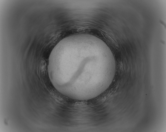X0000090980914200708301245