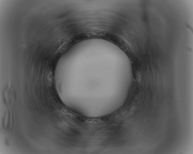X0000090980915200708301245