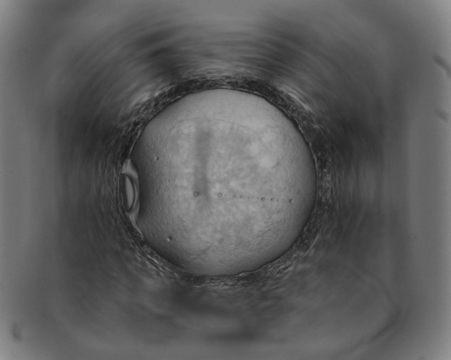 X0000090980917200708301245