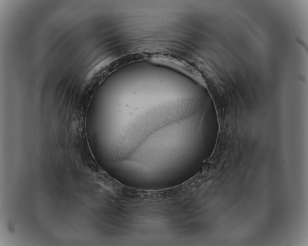 X0000090980920200708301245