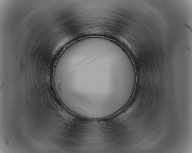 X0000090980922200708301245