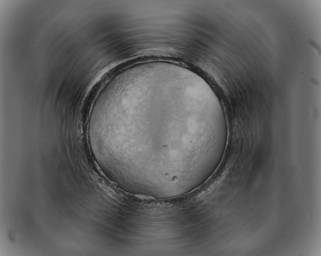 X0000090980923200708301245