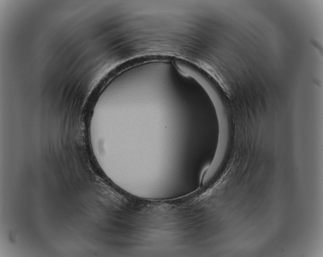 X0000090980926200708301245