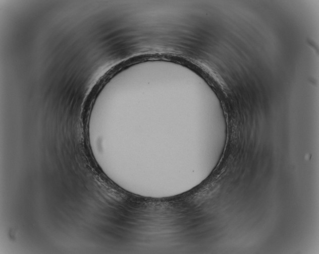 X0000090980927200708301245