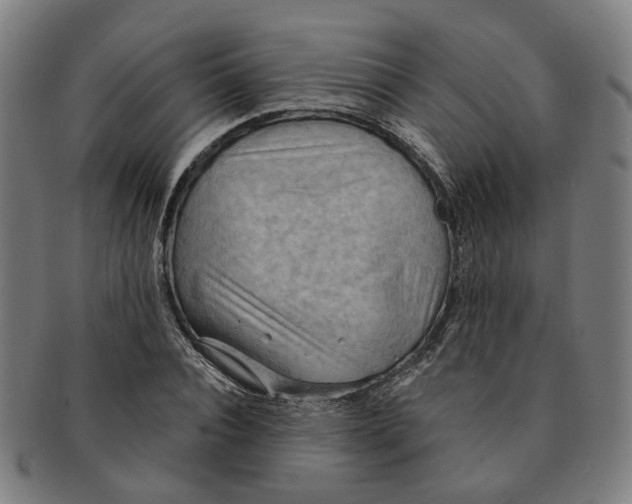 X0000090980928200708301245
