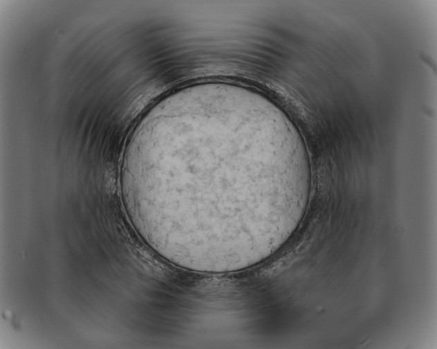 X0000090980929200708301245