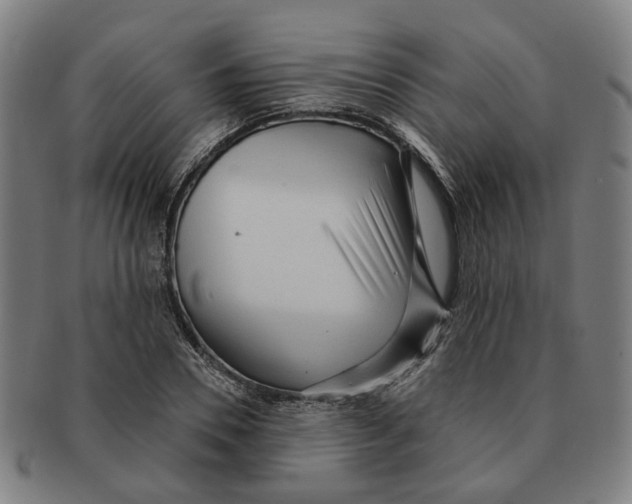 X0000090980930200708301245