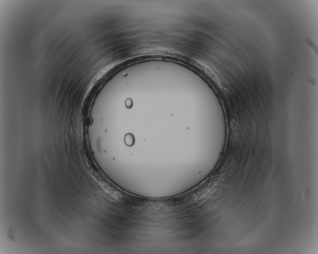 X0000090980931200708301245