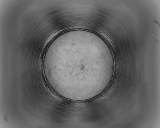 X0000090980933200708301245
