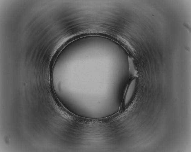 X0000090980934200708301245