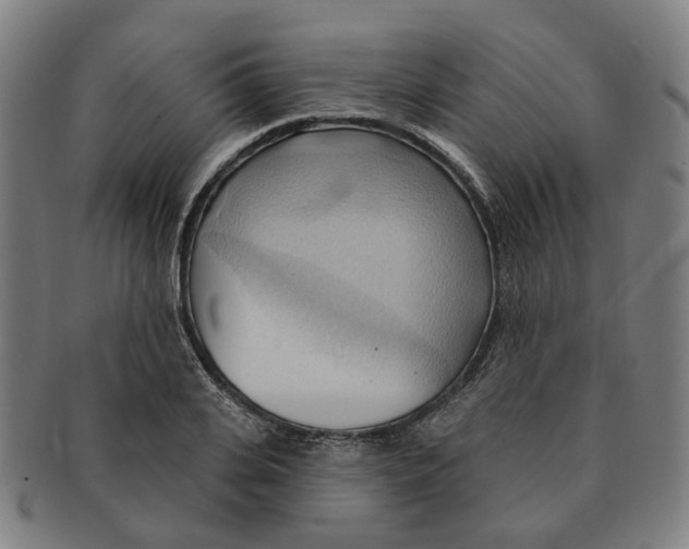 X0000090980935200708301245