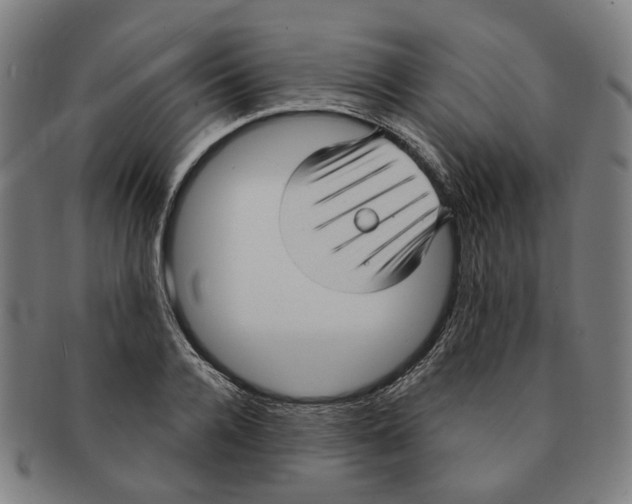 X0000090980936200708301245