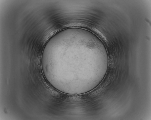 X0000090980937200708301245