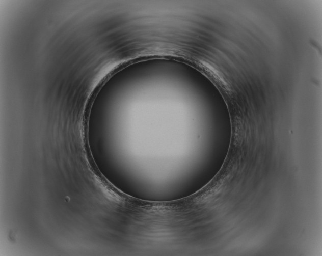 X0000090980942200708301246