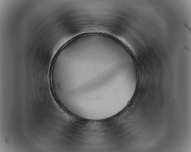 X0000090980943200708301246