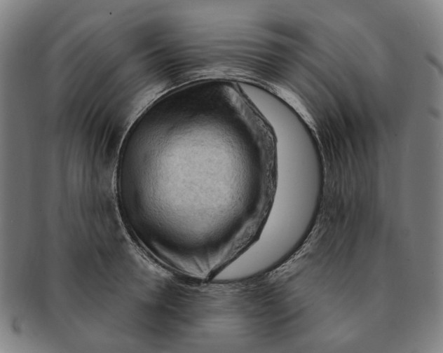 X0000090980946200708301246