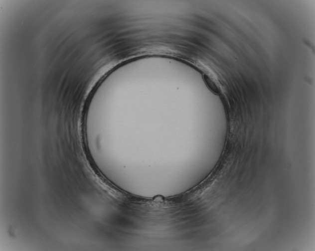 X0000090980947200708301246