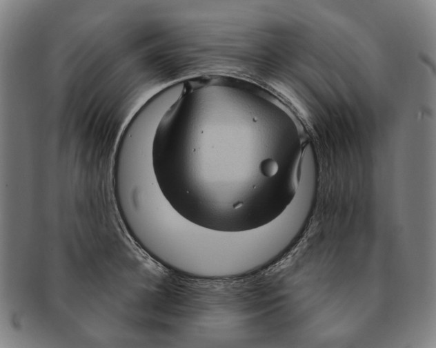 X0000090980948200708301246