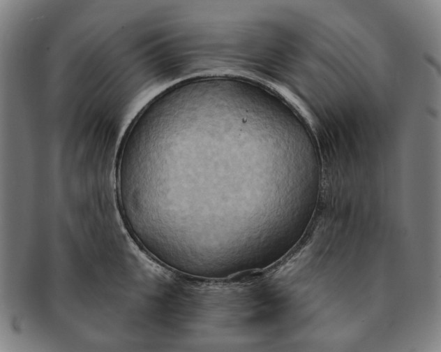 X0000090980951200708301246