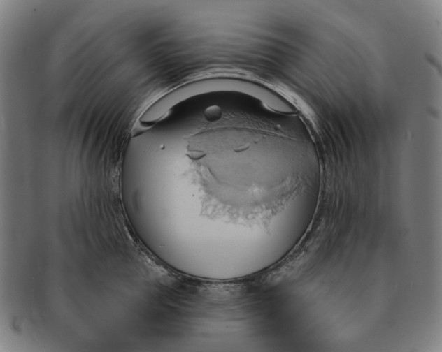 X0000090980953200708301246